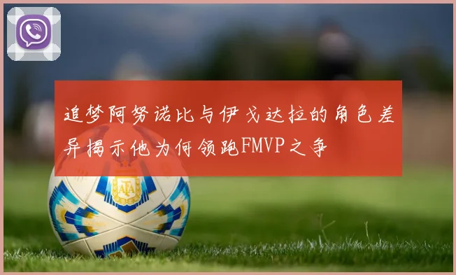 追梦阿努诺比与伊戈达拉的角色差异揭示他为何领跑FMVP之争